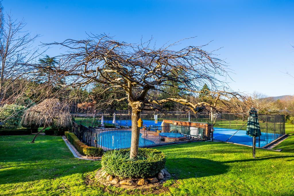 Chestnut Tree Holiday Units Bright Exterior photo